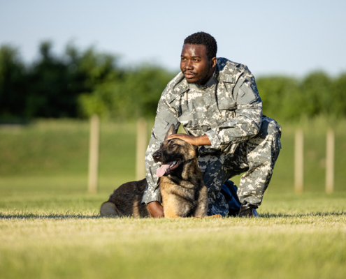 Unwavering Companions: The Role of Dogs in the Military