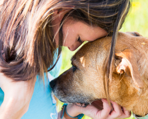 Canine Compassion: Understanding Dogs' Reactions to Their Owner's Emotions