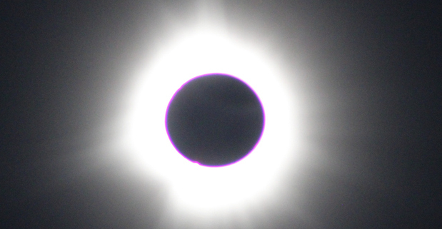 Dogs and the Solar Eclipse: Understanding Their Behavior During Celestial Events