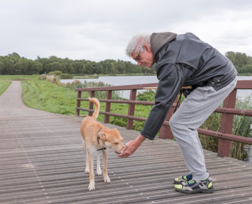 Understanding Fear: Dogs and the Challenge of Fear Towards Men