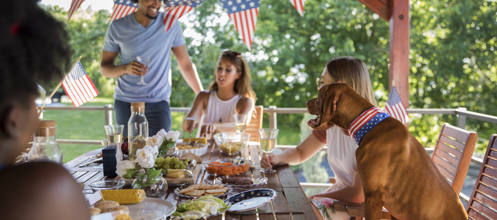 Celebrating Memorial Day with Dogs: Tips for a Safe and Fun Picnic