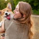 Unveiling the Charm of Corgis: A Beloved Breed