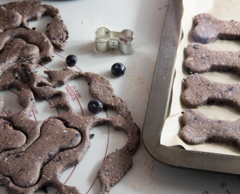 Wholesome Treats: Crafting Blueberry Dog Biscuits for Your Canine Companion