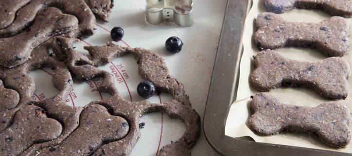 Wholesome Treats: Crafting Blueberry Dog Biscuits for Your Canine Companion