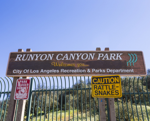 Some of the Best Dog Hiking Trails in California