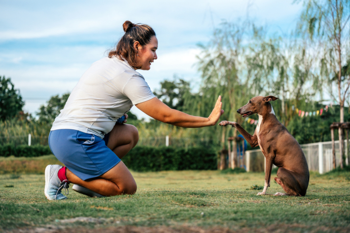 Balanced Dog Training