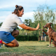 Balanced Dog Training