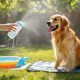 Heatwave Hydration Hacks: Keeping Dogs Cool During Southern California’s Hottest Days