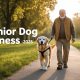 Senior Dog Fitness 2025: Low‑Impact Exercises to Keep Aging Joints Happy