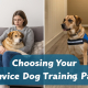 Choosing the Right Service Dog Training Path: Emotional Support vs Full Task Work