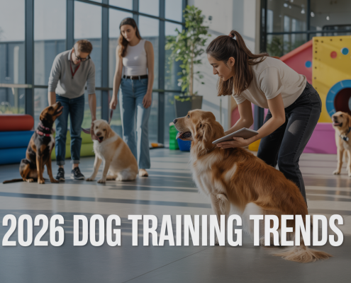 2026 Outlook: Trends in Hands-On Dog Training and Daycare
