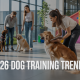 2026 Outlook: Trends in Hands-On Dog Training and Daycare