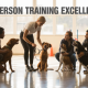 Why In-Person Obedience Training Still Outperforms Online Methods