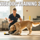 Service Dog Training 2025: How We Prepare Dogs for Life-Changing Roles