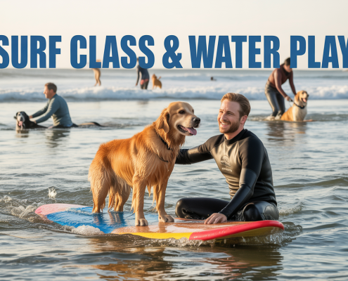 Surf Class & Water Play: Unique Ways to Exercise and Socialize Your Dog
