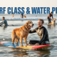 Surf Class & Water Play: Unique Ways to Exercise and Socialize Your Dog
