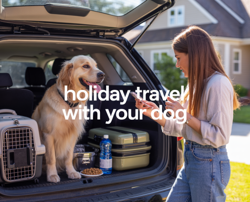 Preparing for Holiday Travel with Your Dog: Checklist & Best Practices