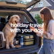 Preparing for Holiday Travel with Your Dog: Checklist & Best Practices