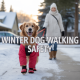 Winter Walks, Keeping Your Dog Safe And Happy In Colder Weather