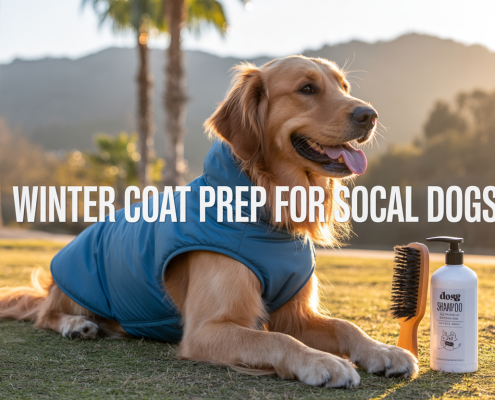 Winter Coat Prep: Essential Grooming Tips for Your Dog in SoCal