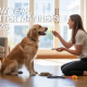 New Year, Better Manners, Simple Resolutions For Your Dog In 2026