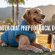 Winter Coat Prep: Essential Grooming Tips for Your Dog in SoCal