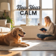 New Year Calm: Resetting Your Dog’s Routine After the Holidays