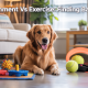 Enrichment vs Exercise: Finding the Right Balance for Your Dog