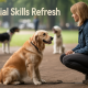 Social Skills Refresh: Helping Dogs Rebuild Confidence After Time Off