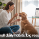 Dog Training Consistency: How Small Daily Habits Create Big Results
