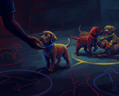 person's hand reaching to a puppy while others play, illustrating behavioral considerations.