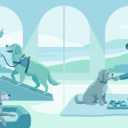 women training three dogs with various techniques for older dogs indoors.