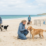 people dog training on a sandy beach by the ocean, with vacation dog training activities.