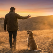 man practicing outdoor dog commands with a golden retriever at sunset on a dirt path
