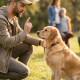 father in an olive jacket doing fathers day dog training with a golden retriever.