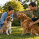 young couple with two dogs, working on dog training new family to integrate dog family summer dog training.