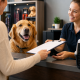customer handing paperwork to pet boarding staff with golden retriever and dog crate nearby, discussing dog boarding requirements for travel